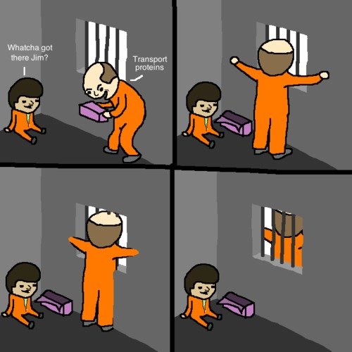 It's a cell wall...