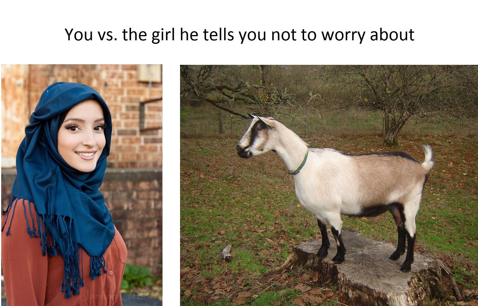 Goats don't have to wear hijabs, thats why they are irresistible