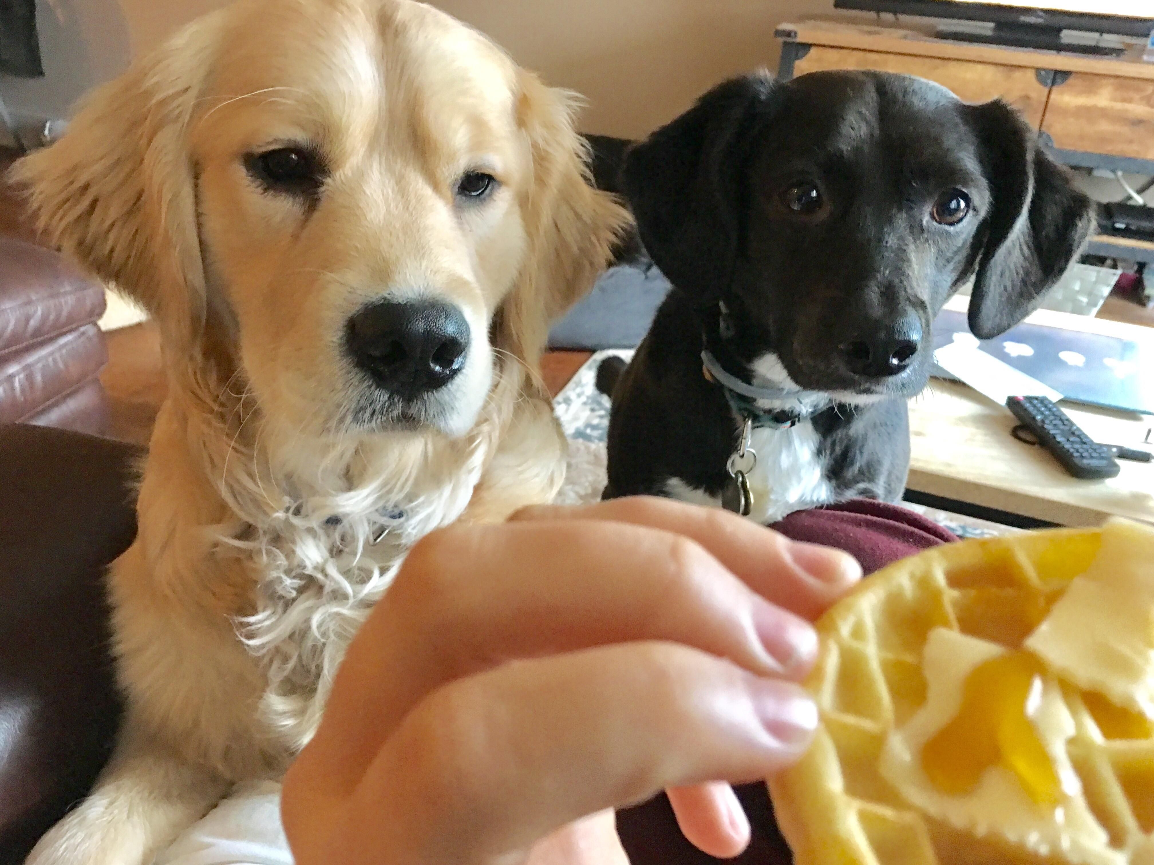 That waffle looks really dangerous. I think you should let us handle that for you.