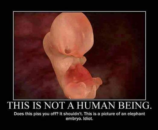 Not A Human