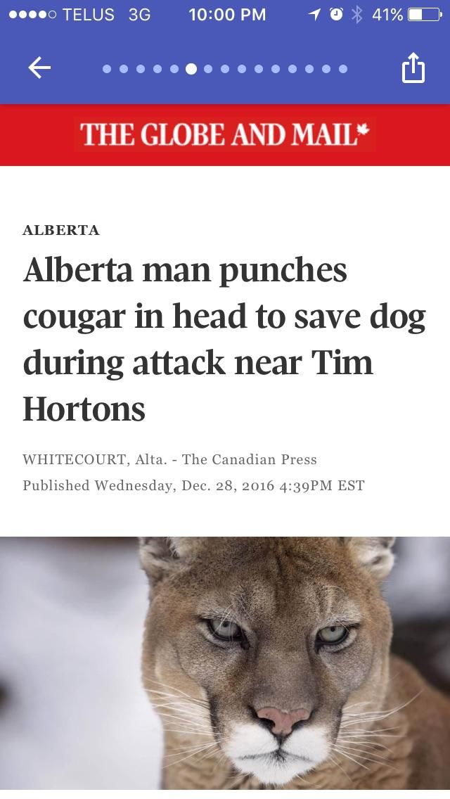 Never has there been a more Canadian news title