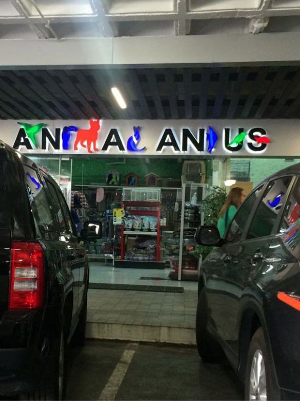 I see Animal Anus, anyone else?