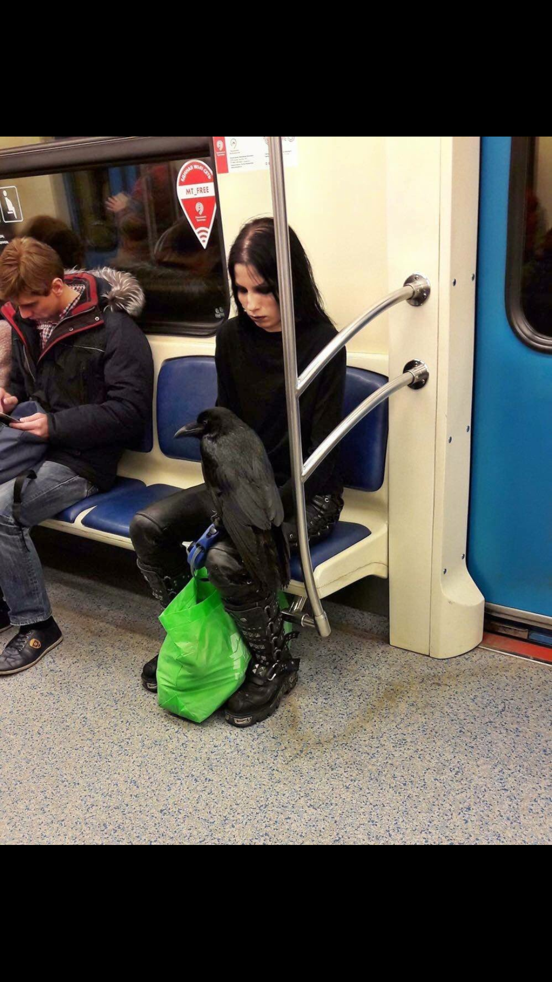 Sure, you're goth, but are you dejectedly riding the subway with your raven goth?