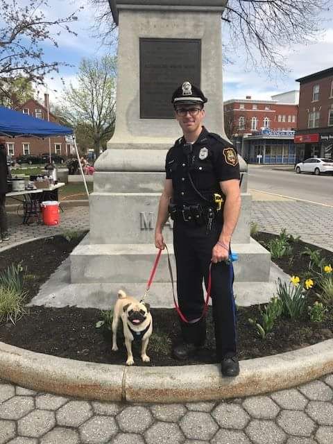 Thankful my town has Hercules the police pug to keep our streets safe from crime!