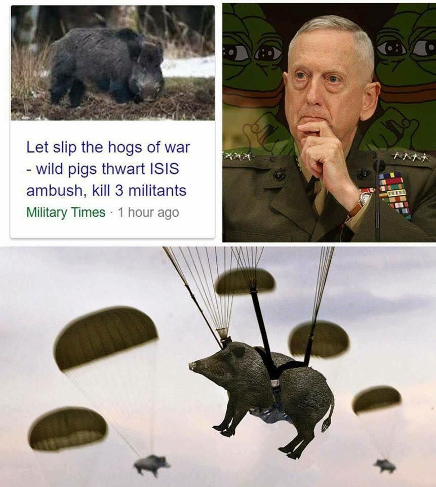 Sgt.boar checking in