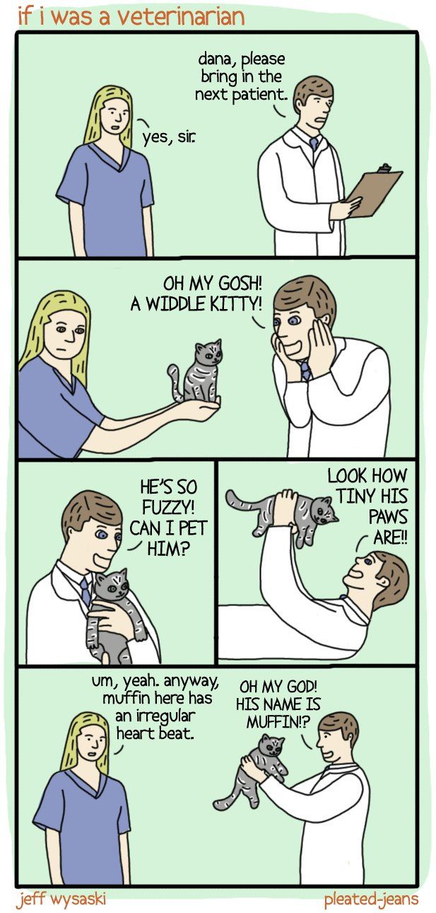 I could never be a veterinarian...!