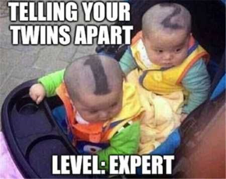 Here is a great idea for those of you who have twins.