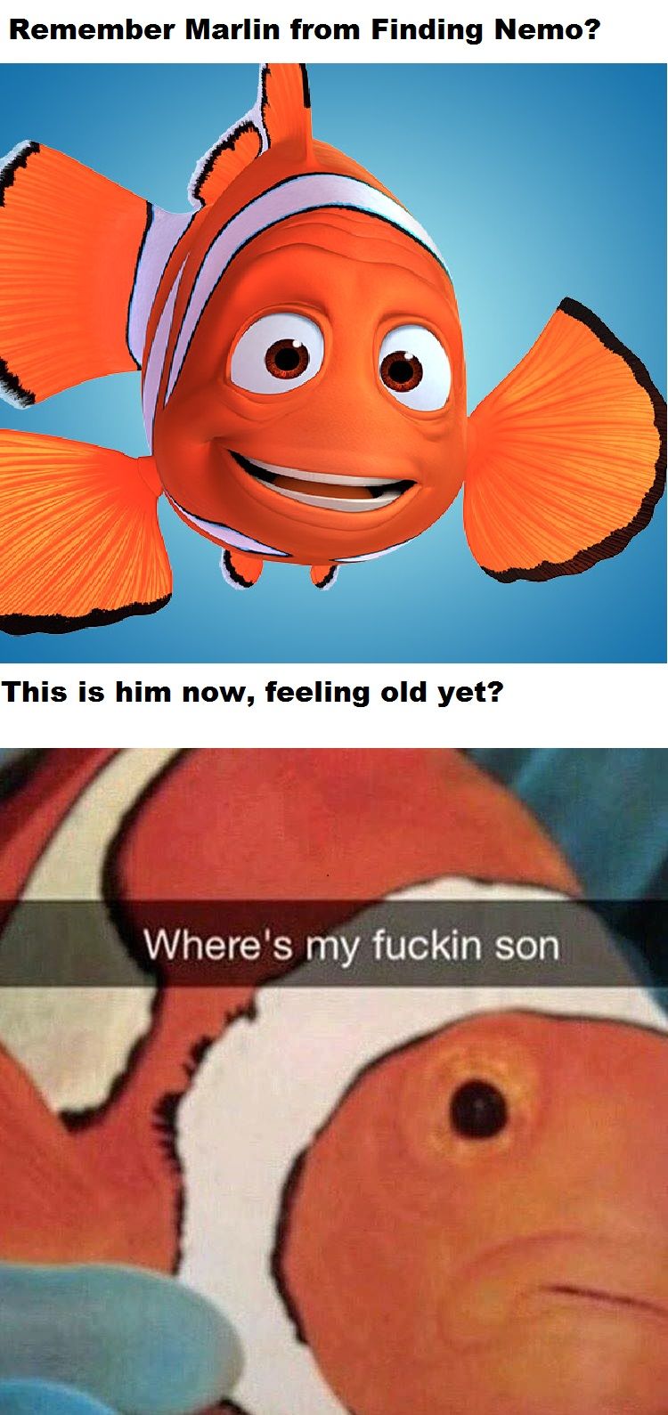 Top quality OC baby