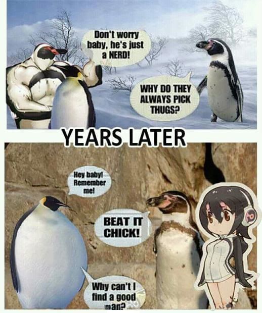 More Pingu Shitposting