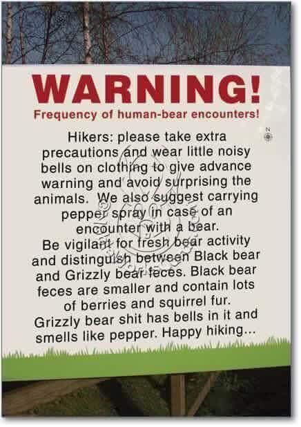 Knowing the different types of bears is important when hiking