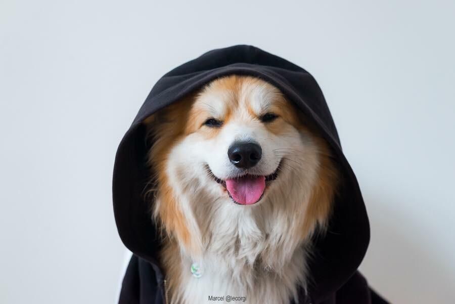 When you are on the dark side, but still a good boy.