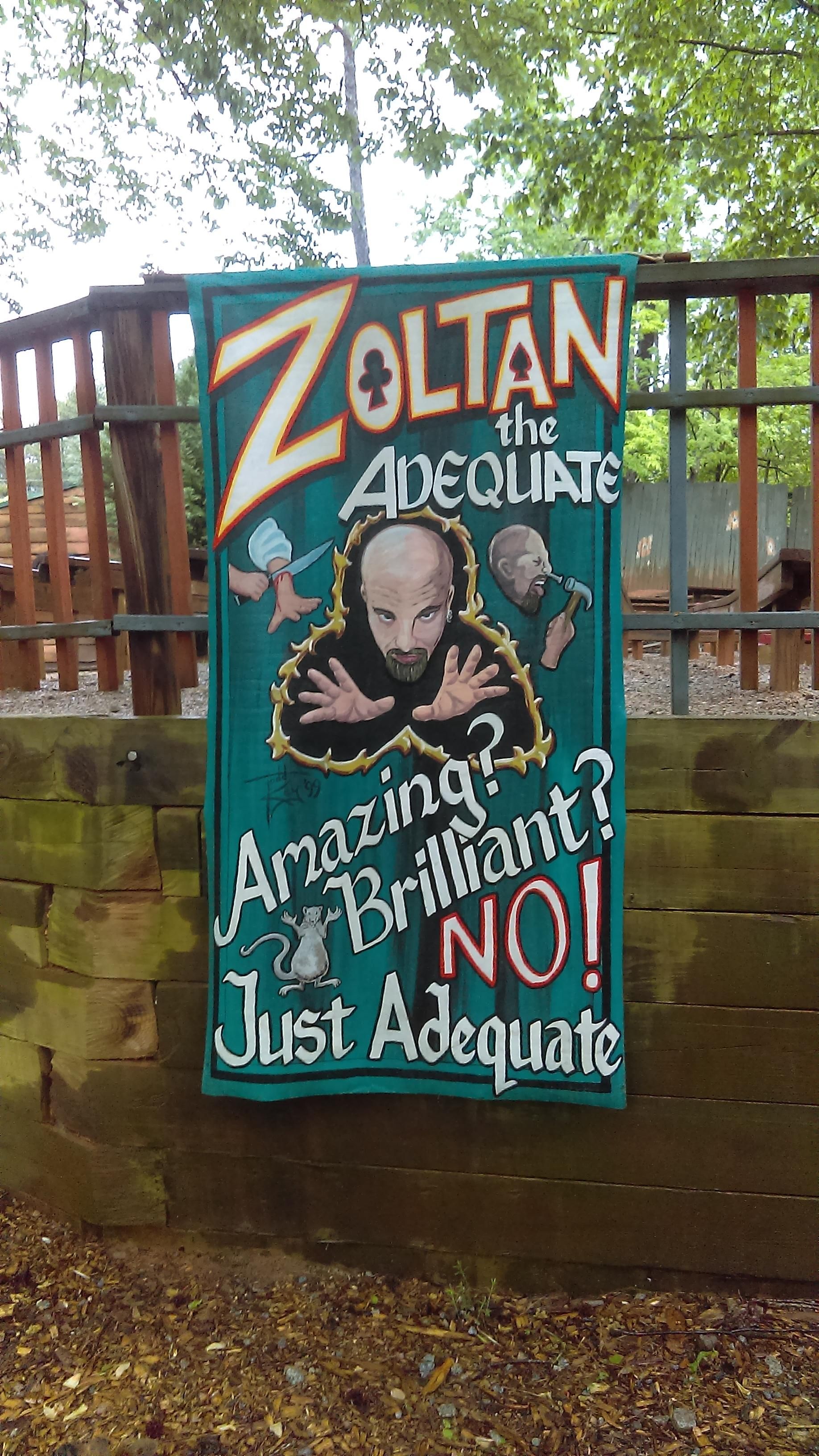 Found a his amazing wizard at a local renaissance festival.