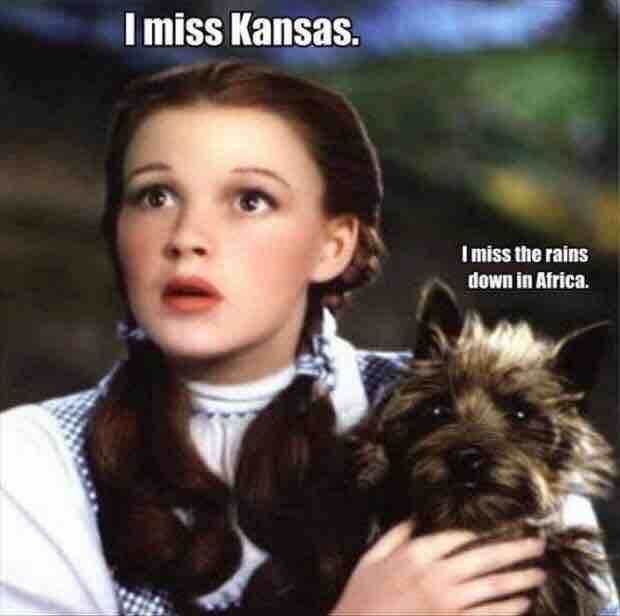 If Toto was a wise ass talking dog: