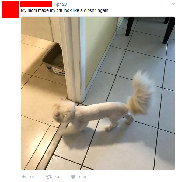 It's bad enough when this is done to poodles