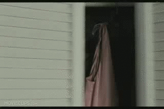 A friend of mine decided to hide in my closet this morning. Reminded me of this scene...