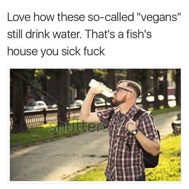 Stupid v3g4ns