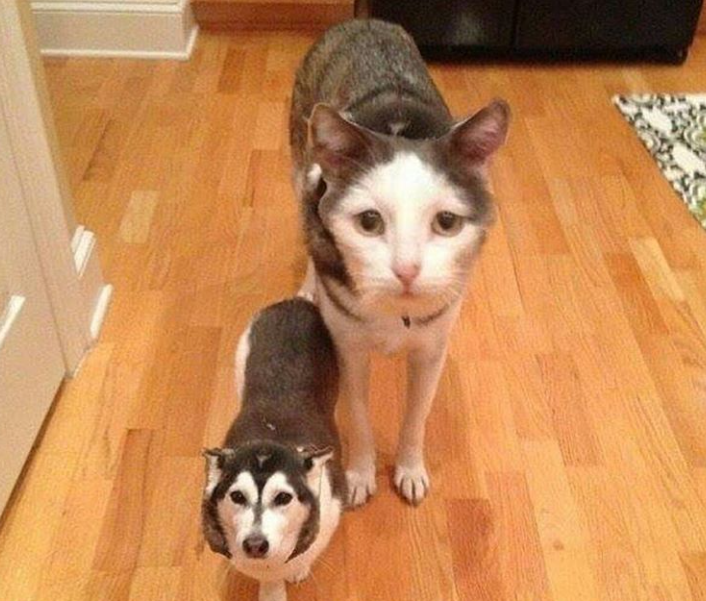 These face swaps are getting out of Hand