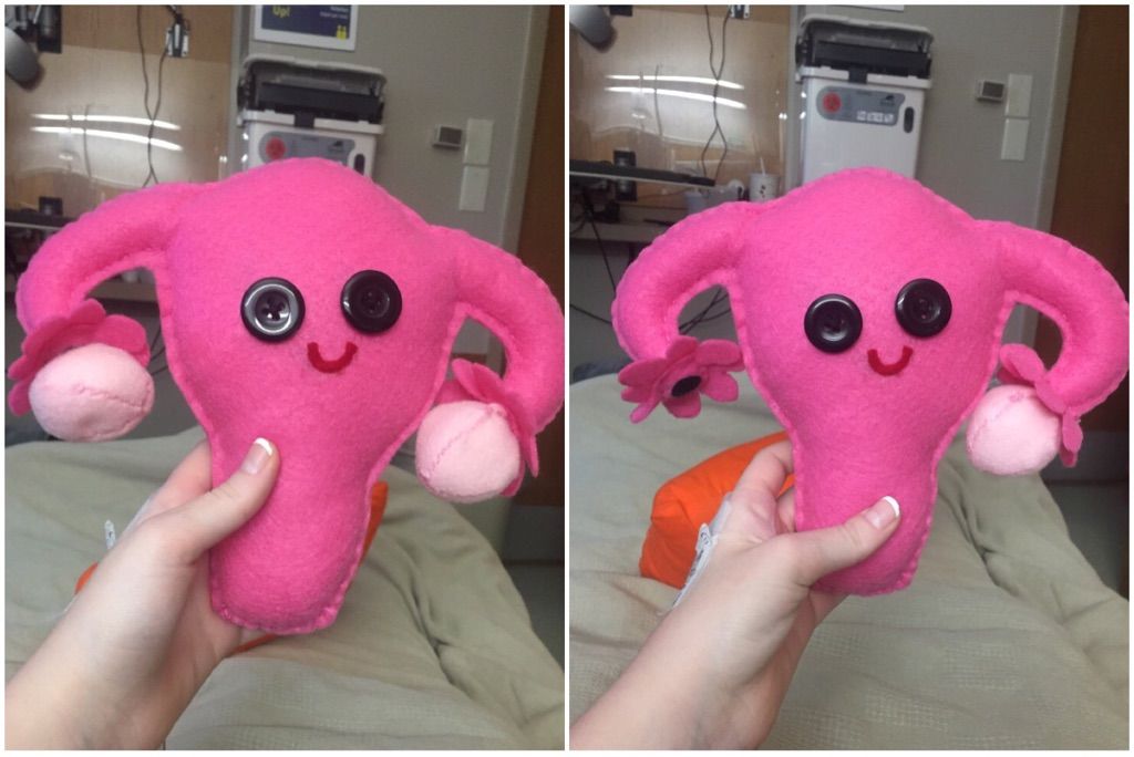 I'm recovering from a Unilateral salpingo-oophorectomy . My friend made me this stuffed animal to help me recover.