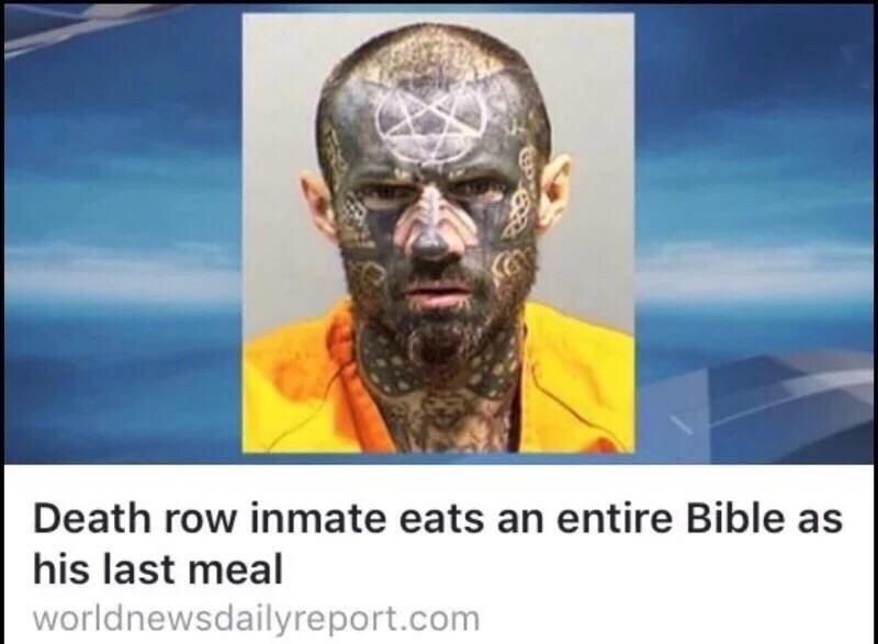 Roses are red, the sky is teal