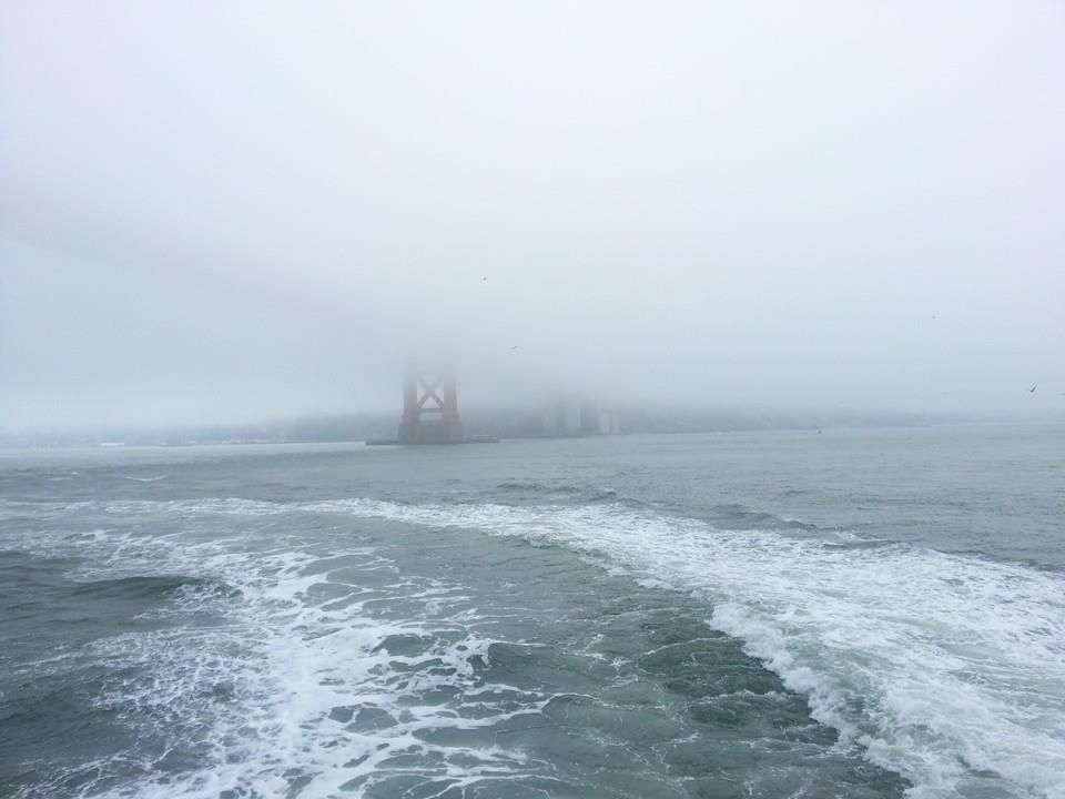 That time I flew all the way to USA to see the Golden Gate Bridge
