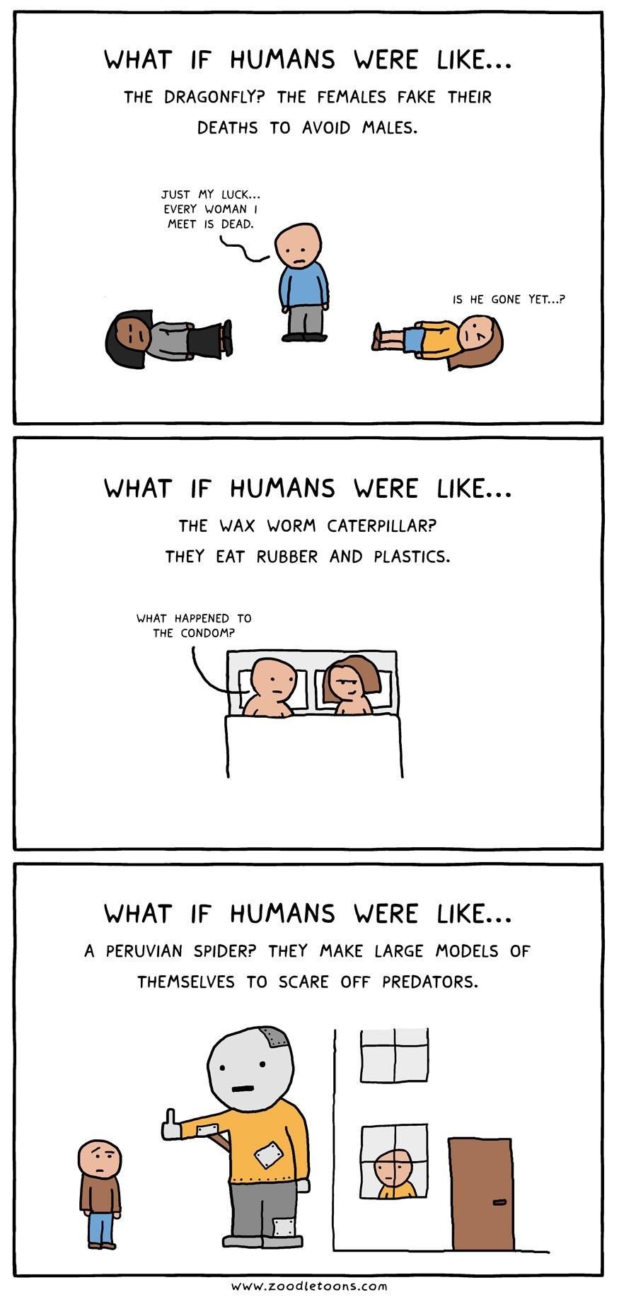What If Humans Were More Like Peruvian Spiders...?