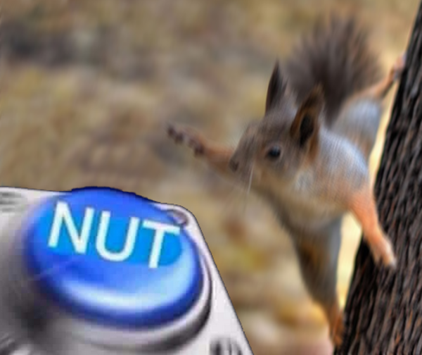 When you're a squirrel and you see a nut