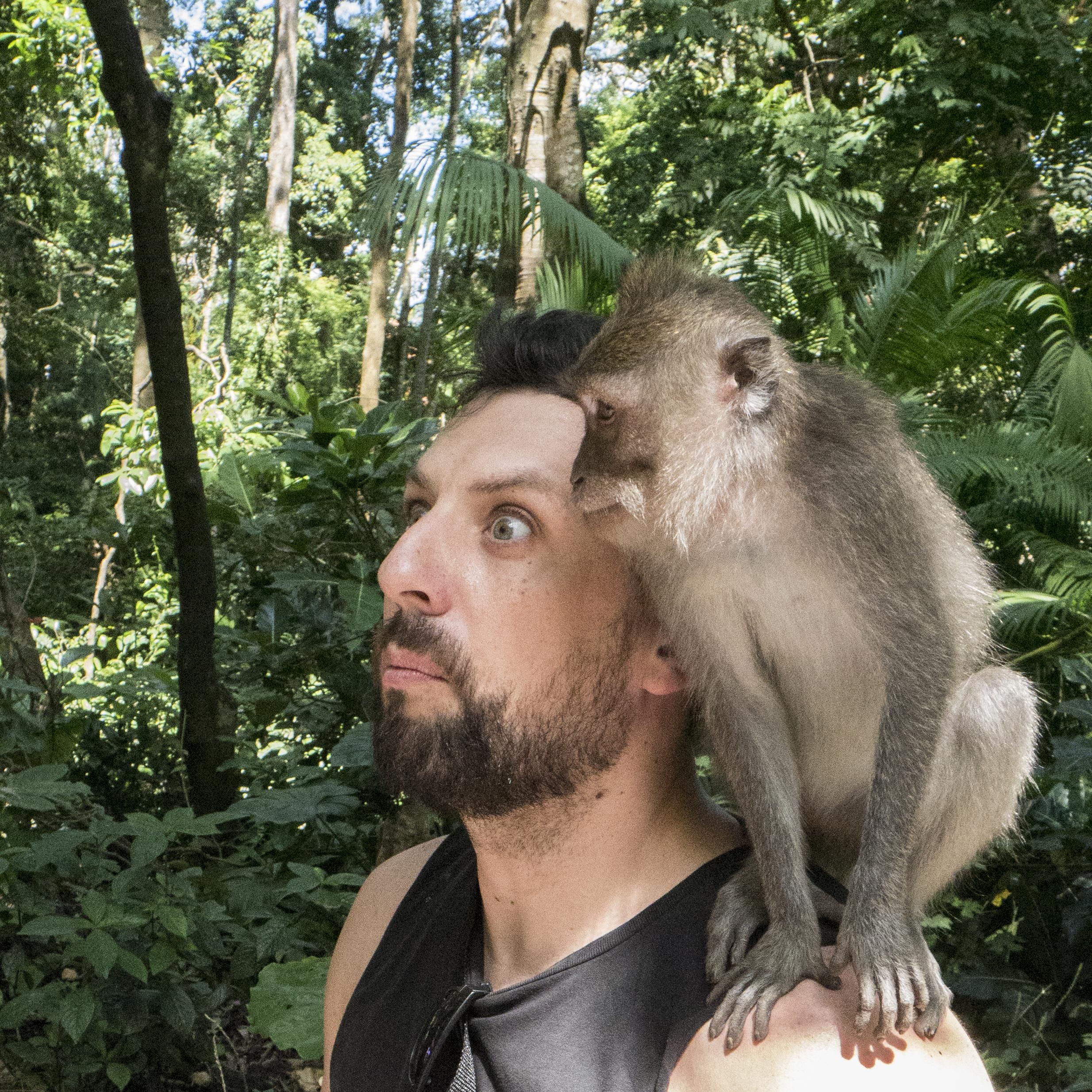 My wife captured the exact moment when this monkey started to pee on me.
