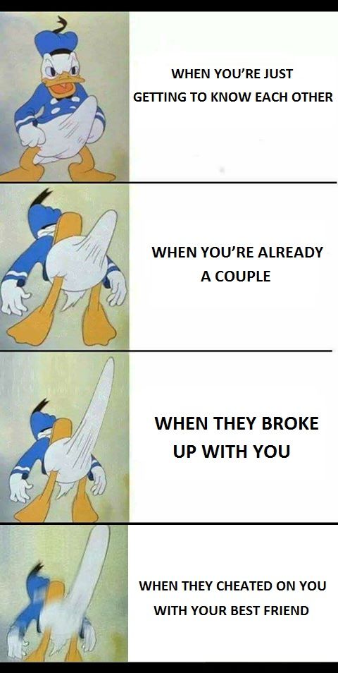 the Boner scale of human irrationality