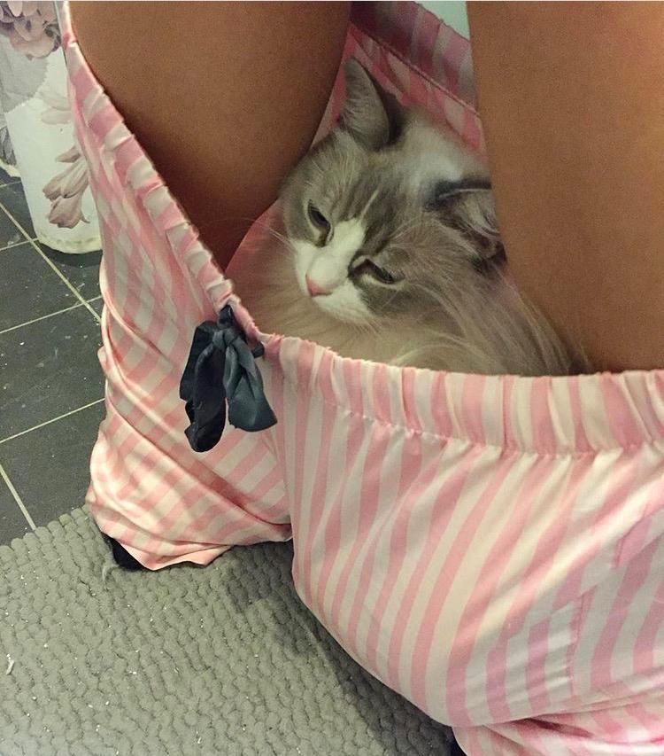 If it fits I sits. Even if it's in your pants while you pee.