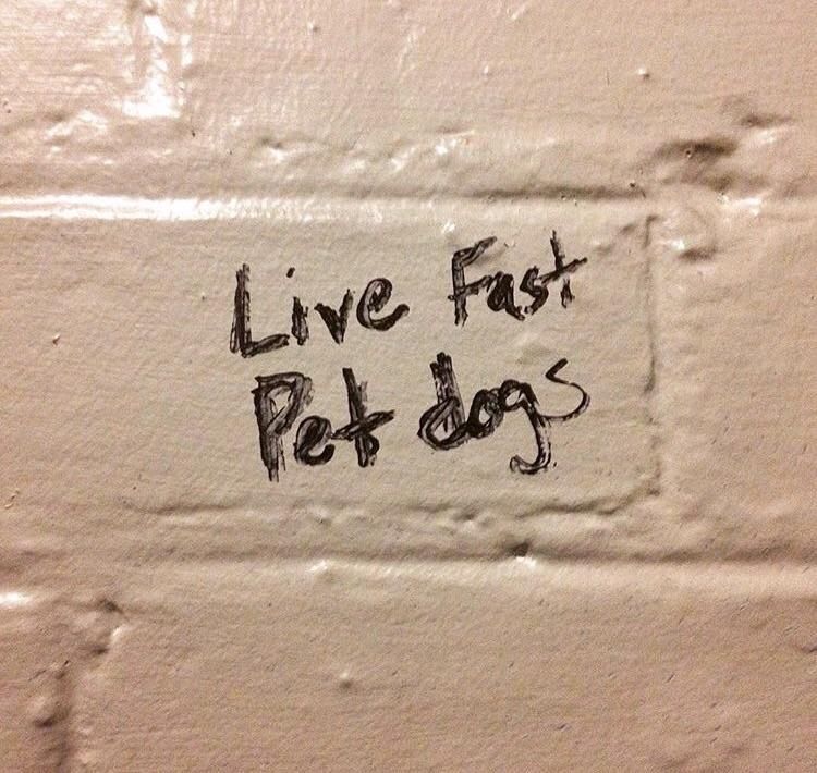 The writing on the bathroom wall.