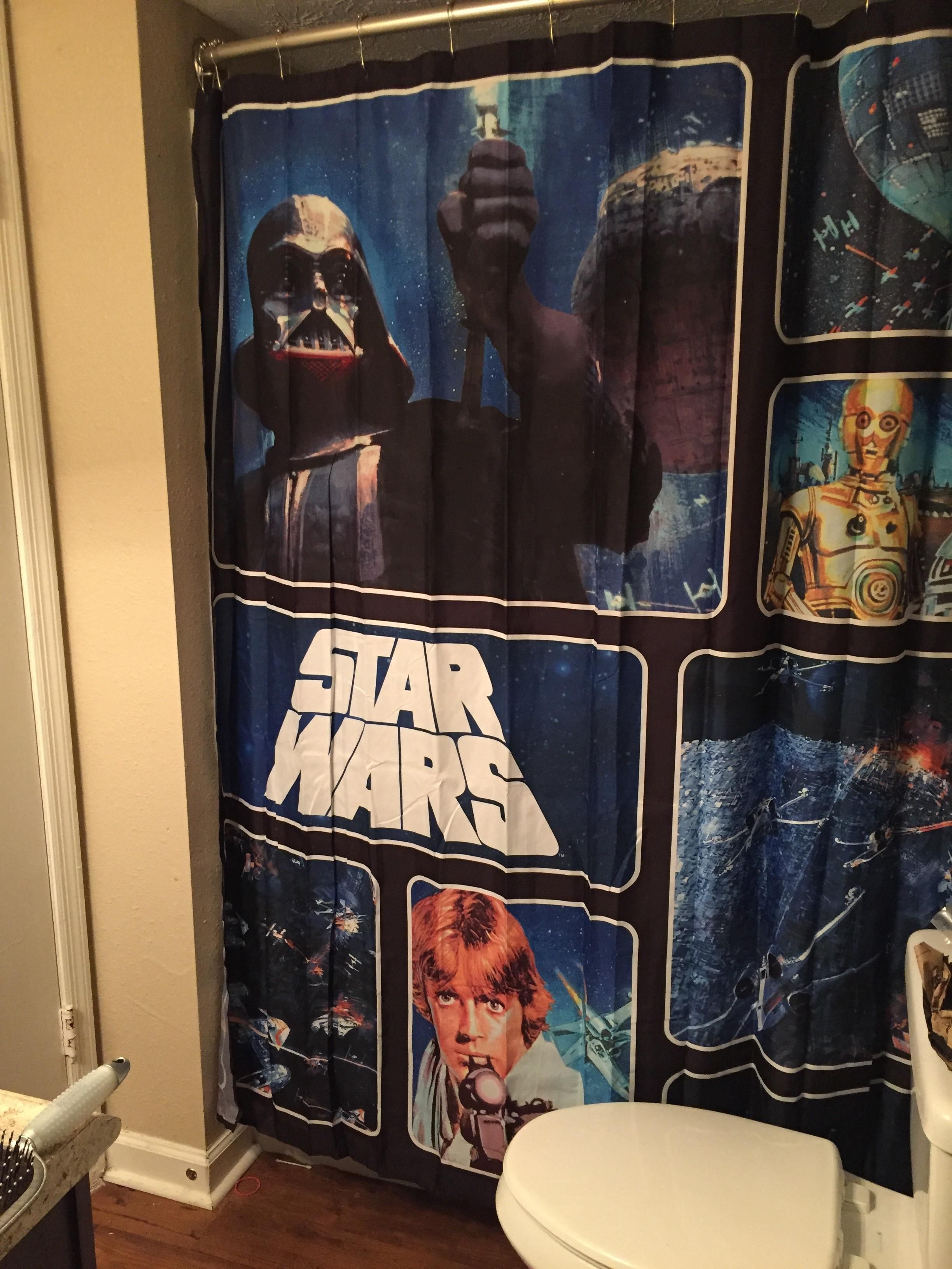 Girlfriend said "go get a new shower curtain before my mom arrives." I think this is fair.