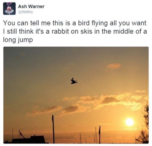 Is That A Bird Or Rabbit on Skis?