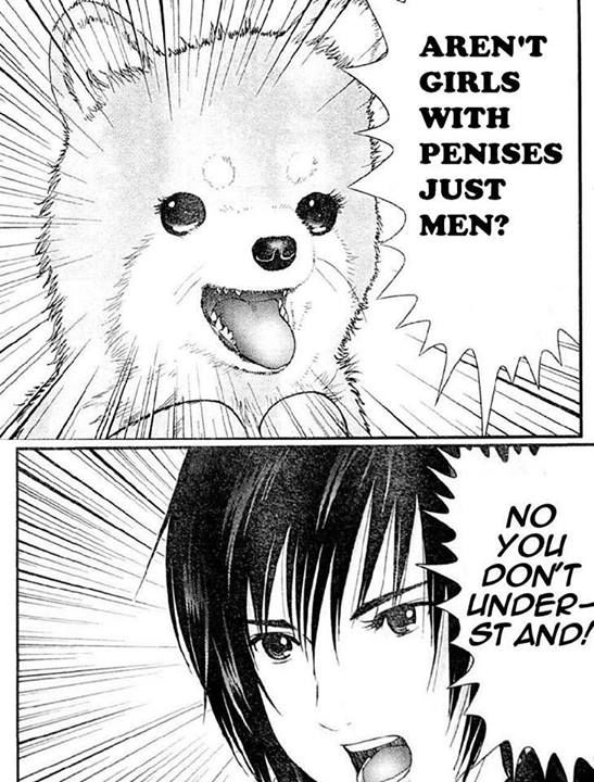 Traps are still gay