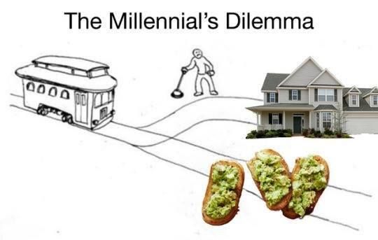 Avocadon't