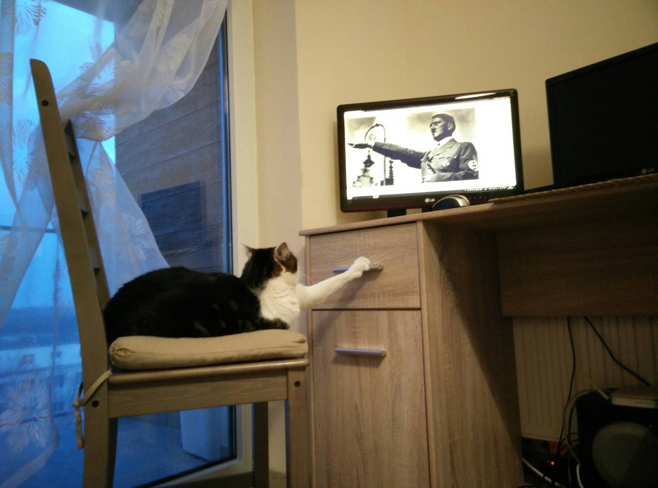 And that's why you don't leave your cat alone with the computer