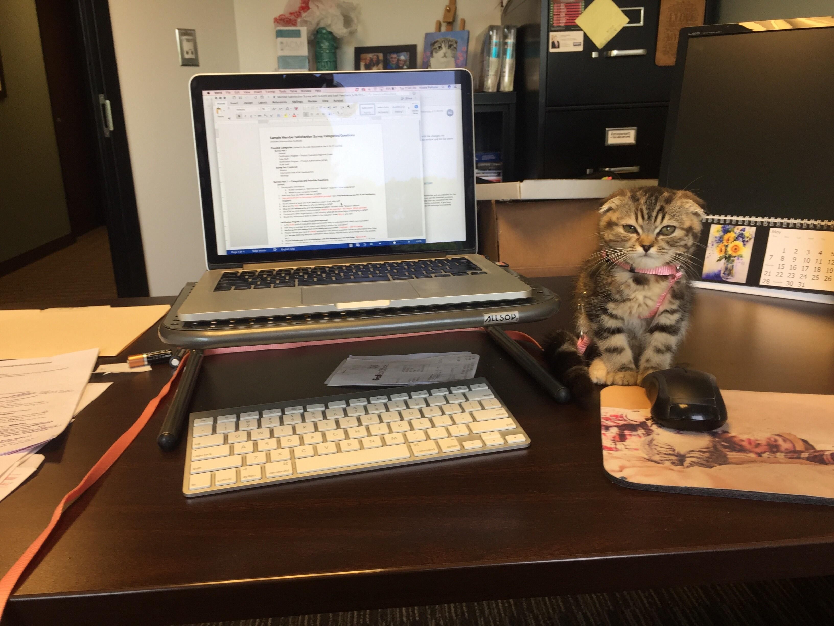 My wife hired a new assistant today.