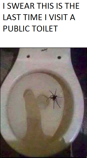 Piss everywhere, period blood, and now spiders? This is getting out of hand