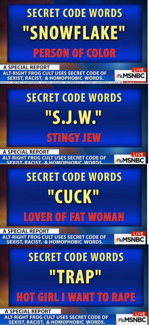 MSNBC is great in enforcing the stereotype of Americans being stupid!