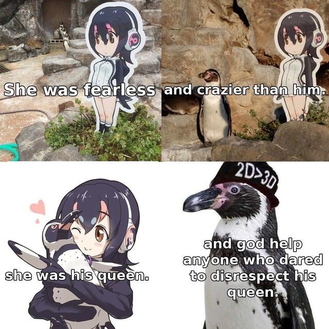 Pingu respects women