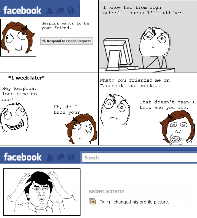 Facebook Idiot