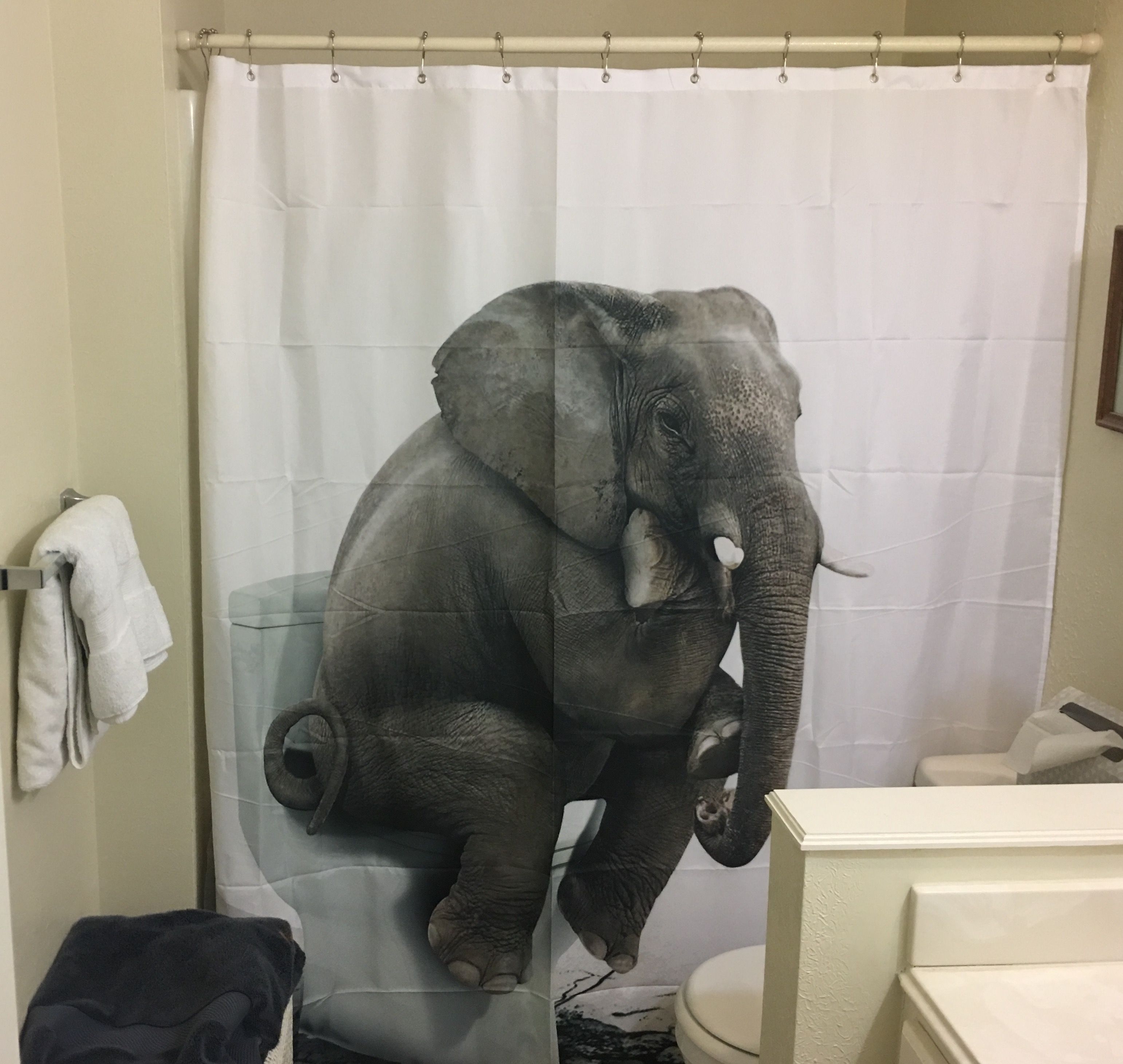 I need a new shower curtain, guess I'll just google "awesome shower curtain"
