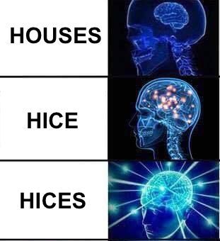 Making the plural of "house". (first meme attempt, pls be gentle)