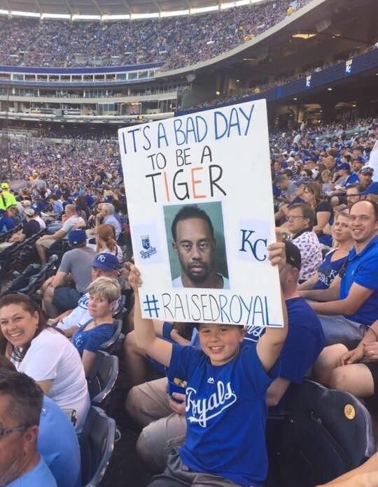 Spotted at the Royals vs Tigers game tonight