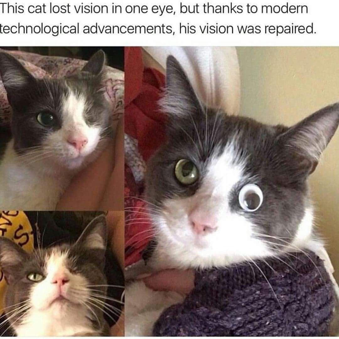 Science has gone this far