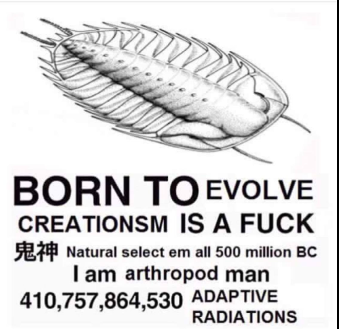 "the perfect organism"- david (spooky walter)