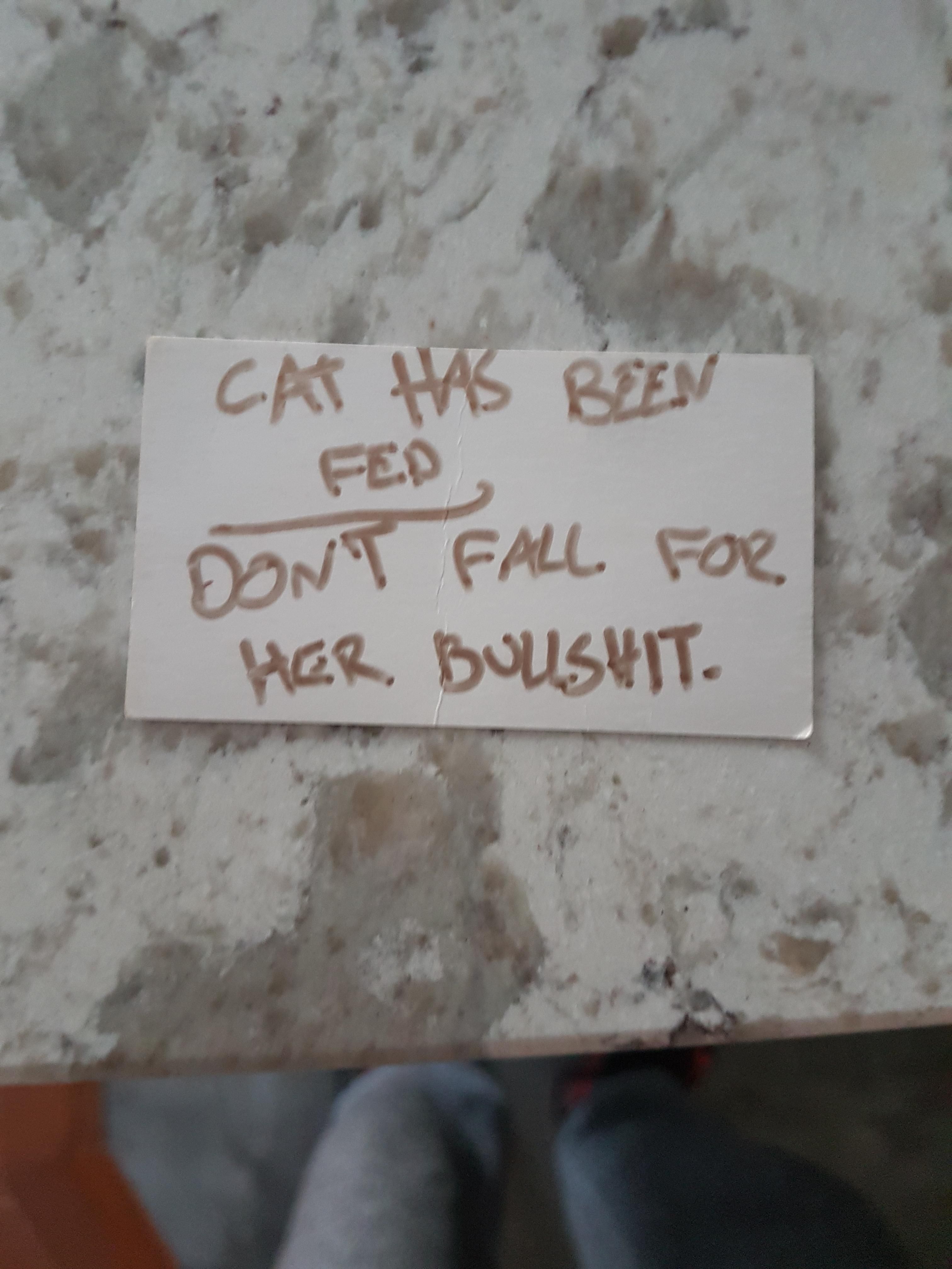 My parents new cat was being super cuddly with me this morning whenever I went near the kitchen. Eventually found this.