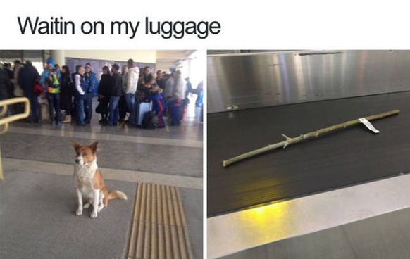 doge TM
