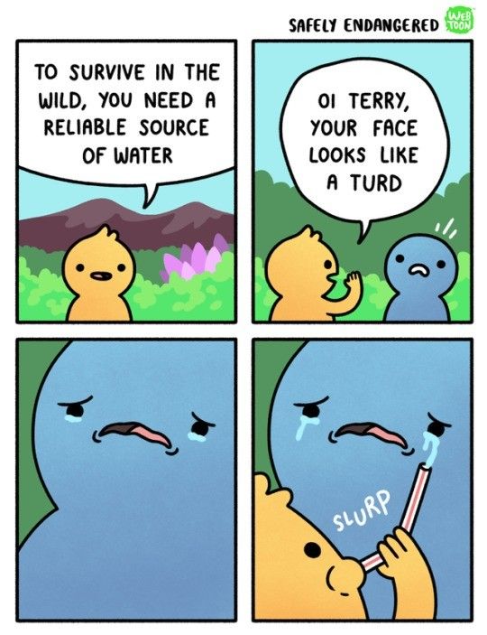 "Hey OP! Memes aren't a valuable contribution to society! "