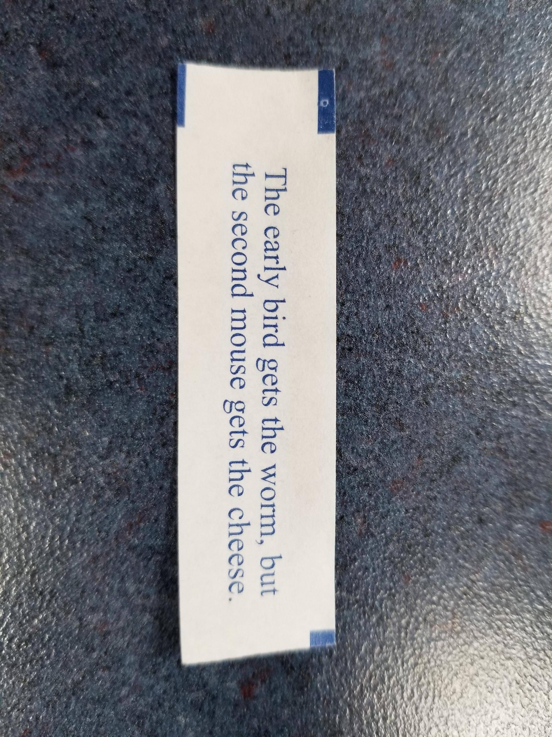 Best fortune I've ever seen.