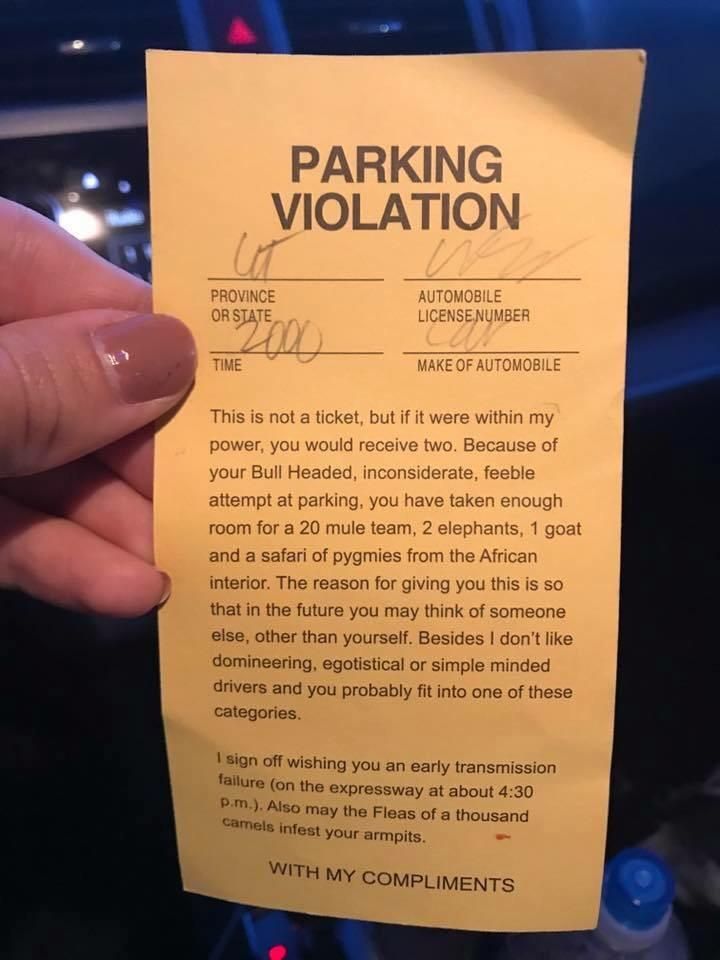 My friend just got this. She's freaking out but she really does suck at parking